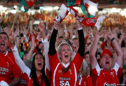 Image showing fans cheering